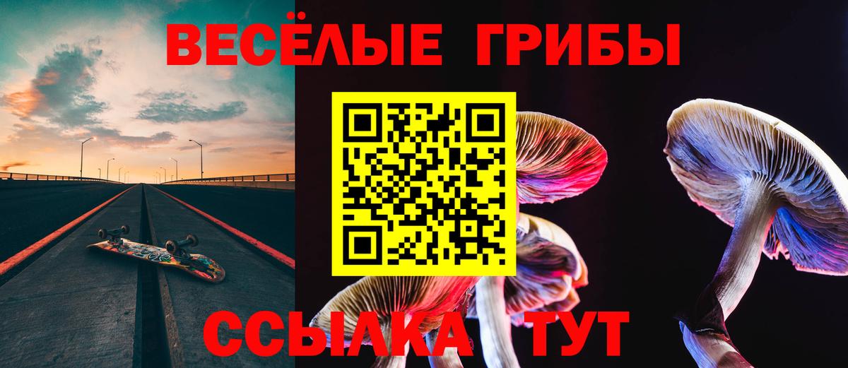 купить закладку  Галлюциногенные грибы MAGIC MUSHROOMS  Вход с VPN  Коломна 