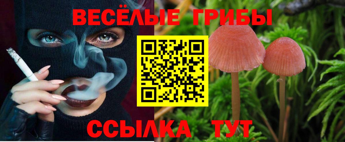 Галлюциногенные грибы прущие грибы Коломна